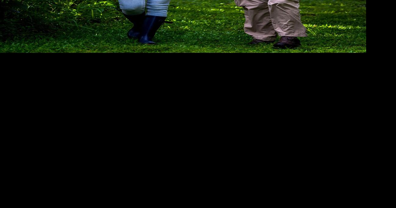 Popular NNY ‘forest garden’ branches out to WPBS series