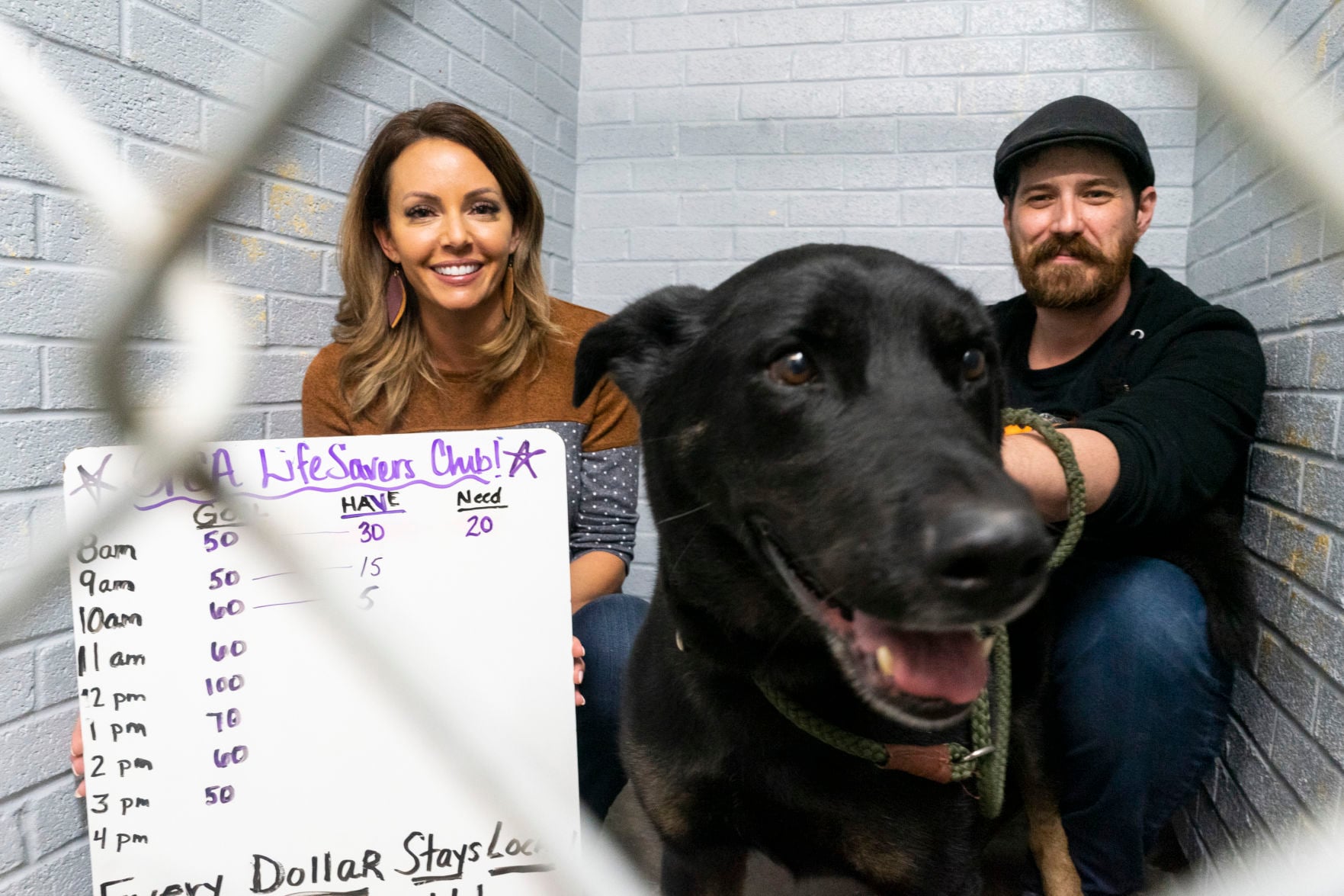 jefferson county dog pound