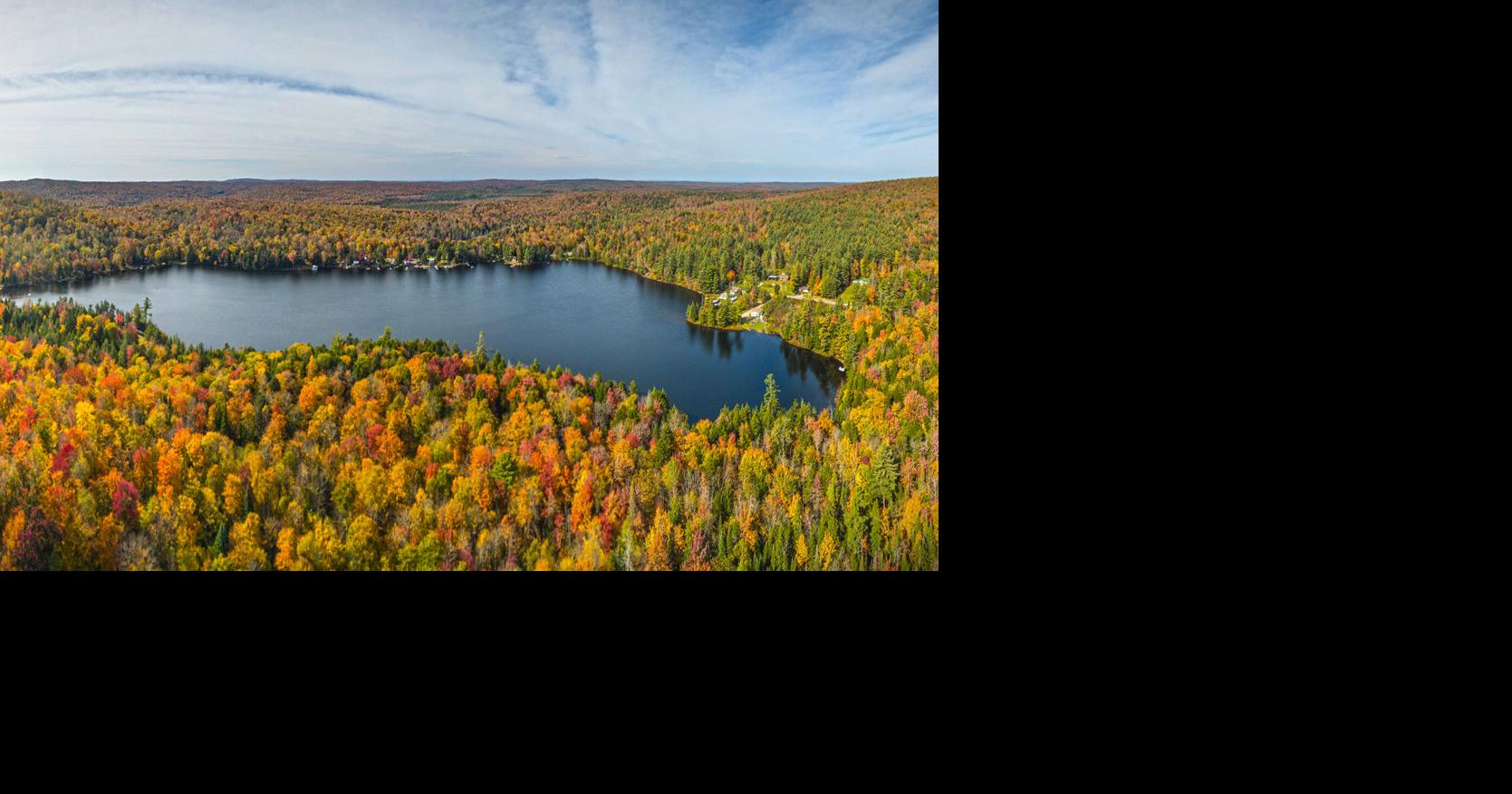 Peak fall foliage in the north country is nearly here | Community Notes ...