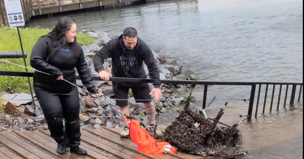 Divers from ‘Alliance’ take the plunge for trash removal