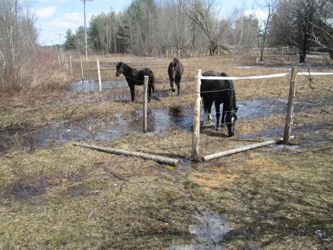 Brasher Falls Divided By Record High St. Regis News