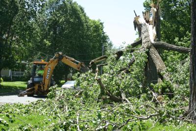 Trees Take Out Power Lines Due To High Winds | News | nny360.com