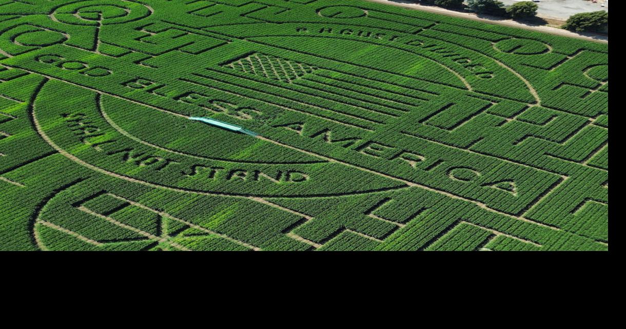 Navigating this world-record corn maze is a test of the human psyche ...