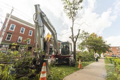 Clayton trees cleared