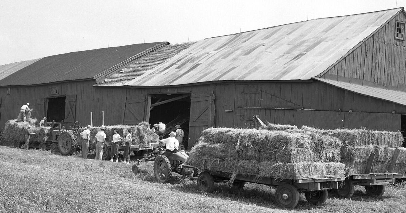 From the Times Files: Looking Backward - Vimarsana News