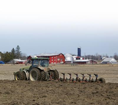 Report ranks NNY second in state agriculture sales