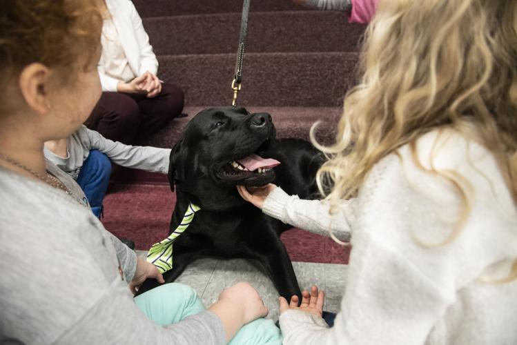 Sackets Harbor school introduces therapy dog Jefferson County News