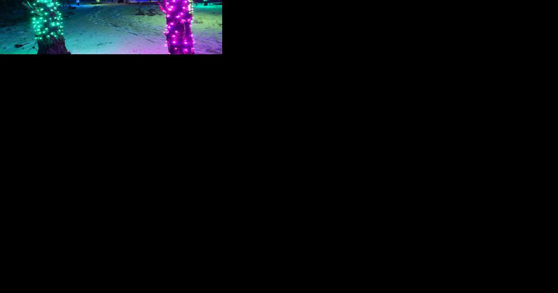 Wild Center's 'Wild Lights' continues through February | Kidscontent - Vimarsana News