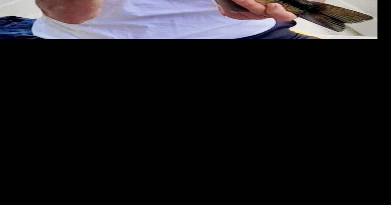 Leslie Scott Bezio | Obituaries | nny360.com