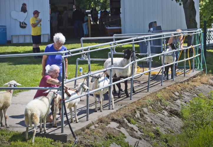 Gouverneur and St. Lawrence County Fair opens Tuesday Arts and