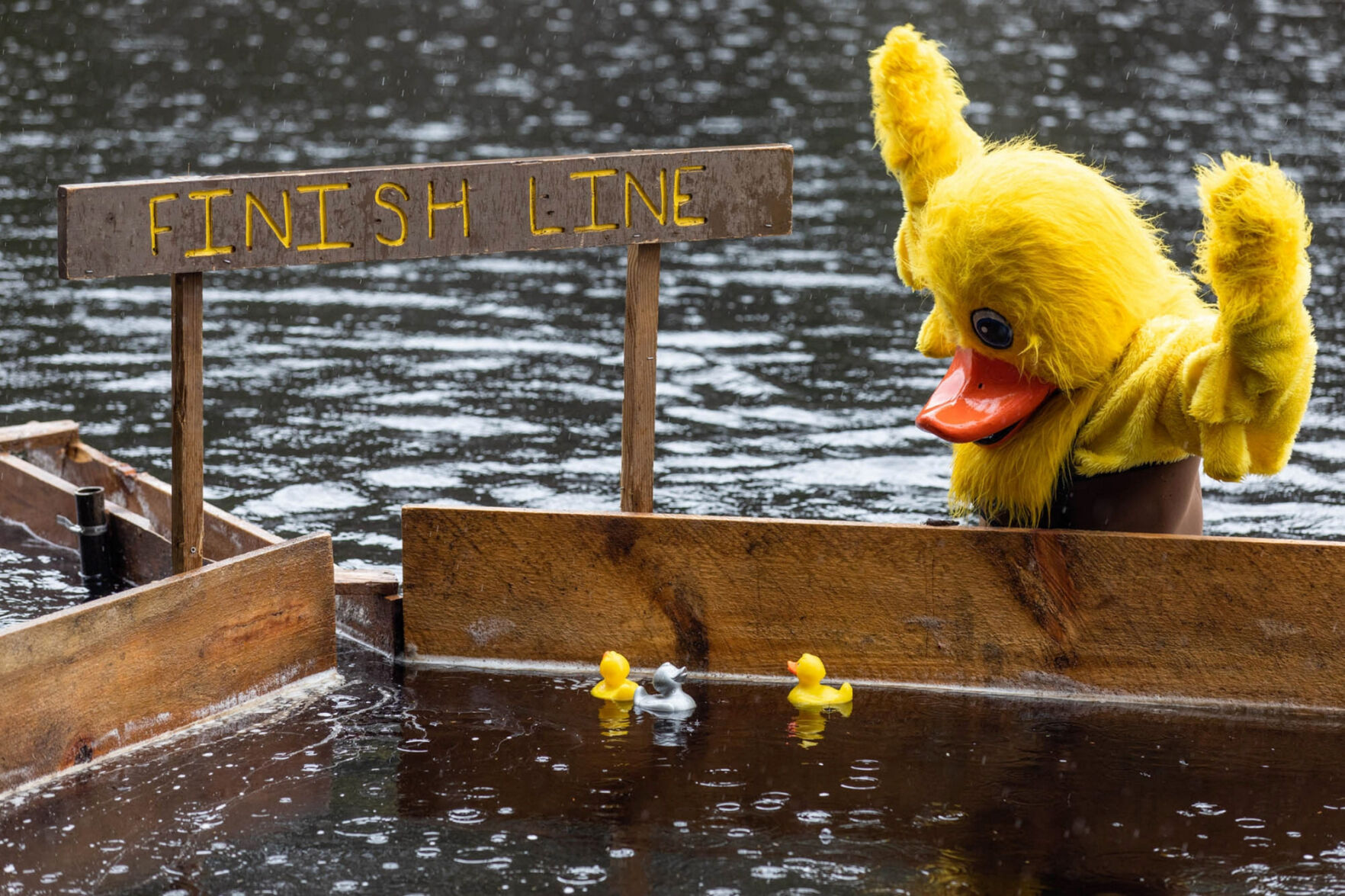 Virtual AdironDuck race set for April 25 - Vimarsana News