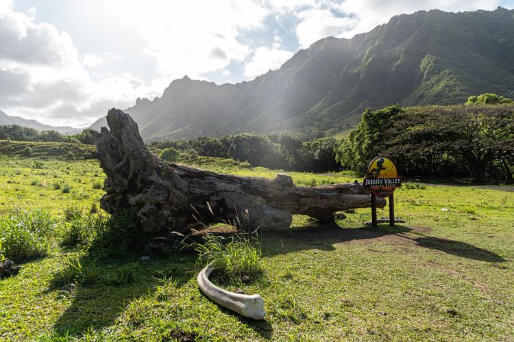 Top travel trends that will define 2025 Travel