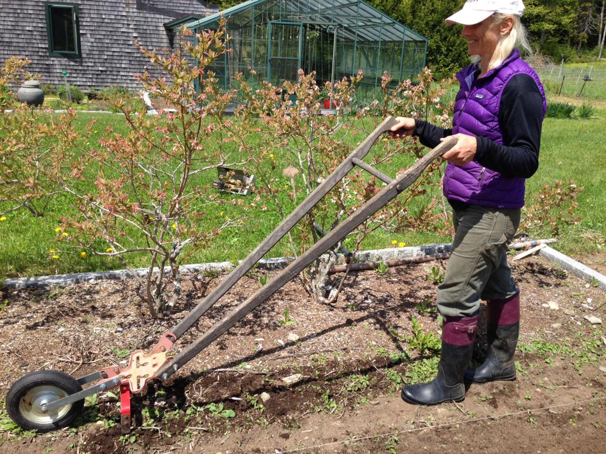 Wheel hoes sow seeds of a revival | | nny360.com