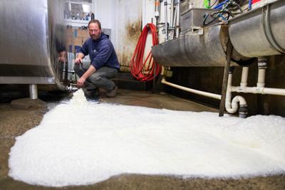 NNY farmers face lower milk prices
