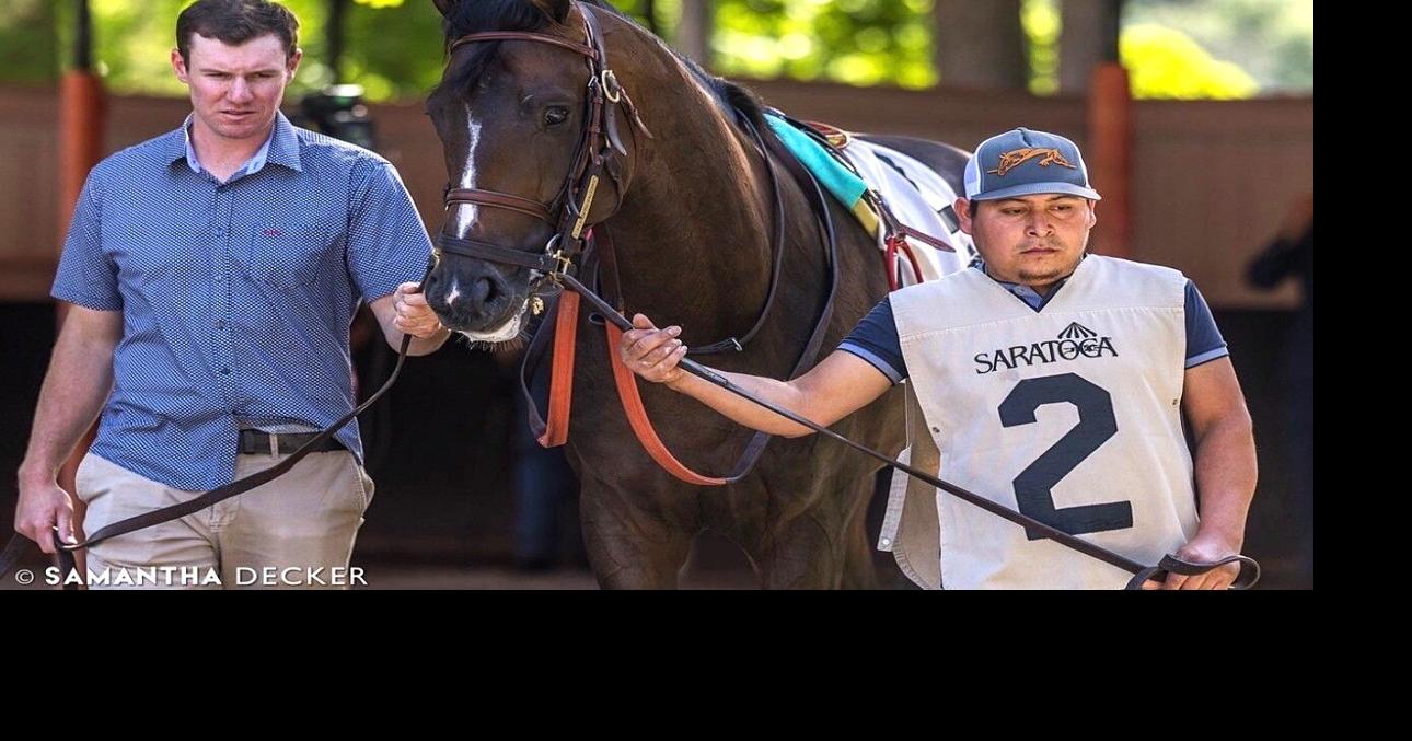 Ogdensburg native takes reins as top thoroughbred trainer Tom Amoss ...