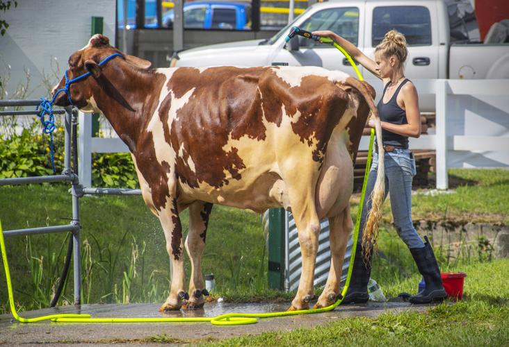 First day of Gouverneur and St. Lawrence County Fair is all about the
