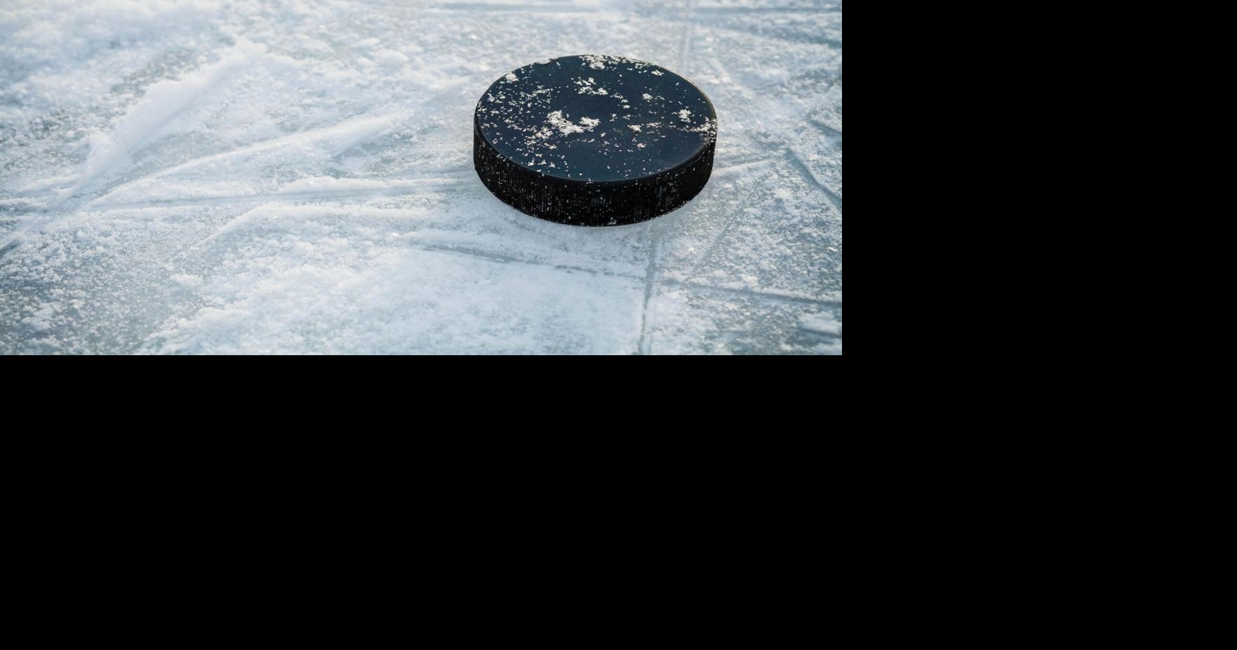 College roundup: Clarkson rallies with goal in third period to record tie with St. Lawrence in women’s hockey