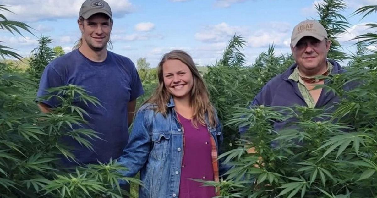 Canton farm’s hemp flowers featured in Rochester cannabis contest | Business Canton farm’s hemp flowers featured in Rochester cannabis contest | Business