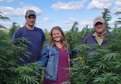 Grasse River Hemp strain gets nod from Rochester cannabis contest
