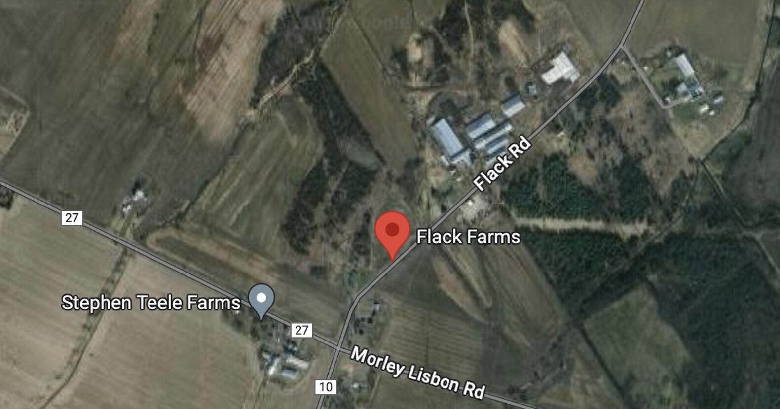 Worker killed by cow at Lisbon farm - Vimarsana News