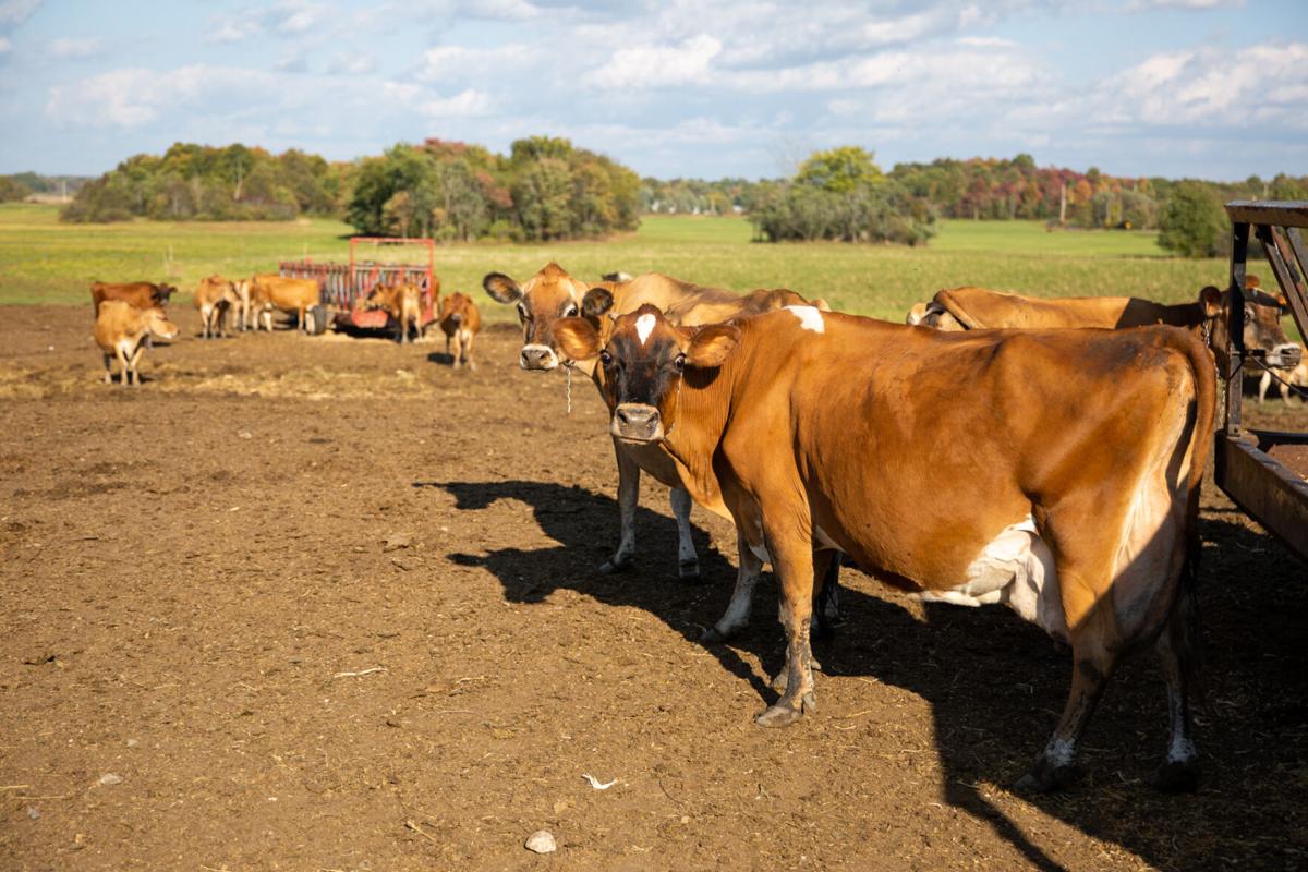 Guarding our food supply