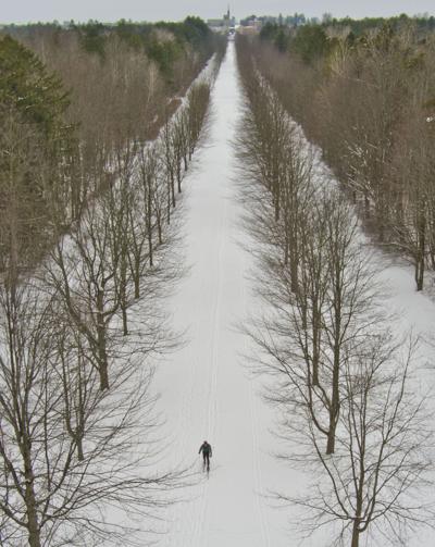 Cross country skier in for the long haul