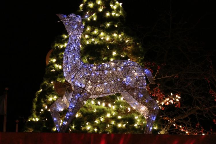 PHOTO Christmas lights outside Oswego’s City Hall Oswego County