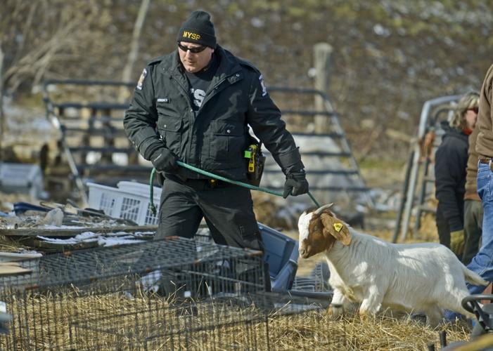 Two face animal cruelty charges deplorable scene: Authorities find ...