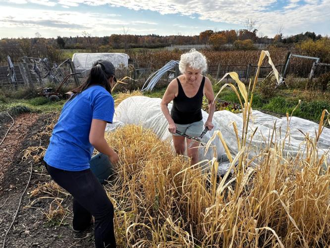 Warmer temperatures are extending farmer’s growing season Business