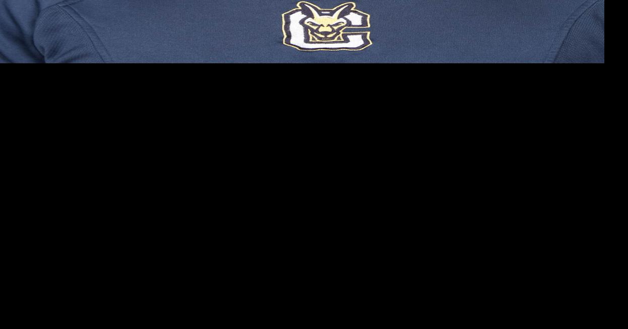 College baseball: SUNY Canton promotes Matos to head coach | College ...