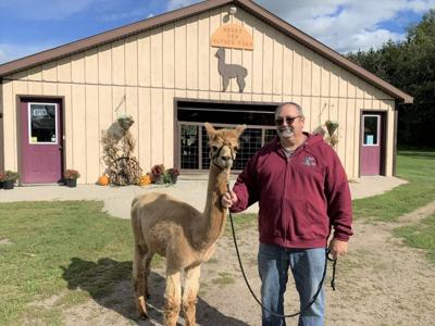 North Bangor alpaca farm hosting open house today