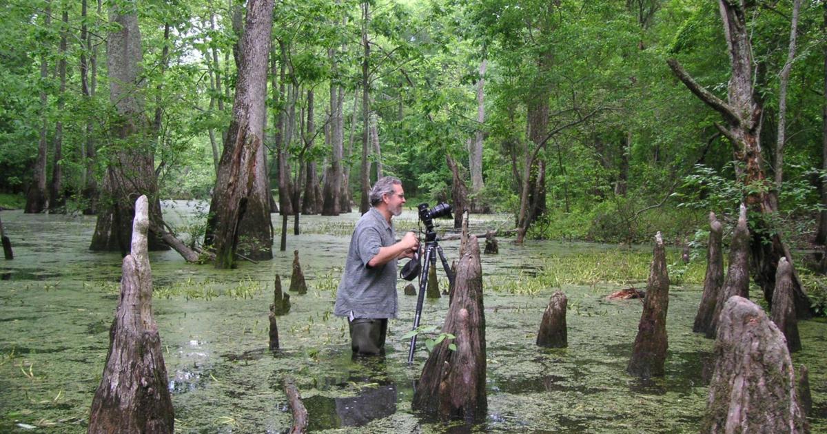 Gary Braasch, renowned photographer, environmentalist, dies snorkeling