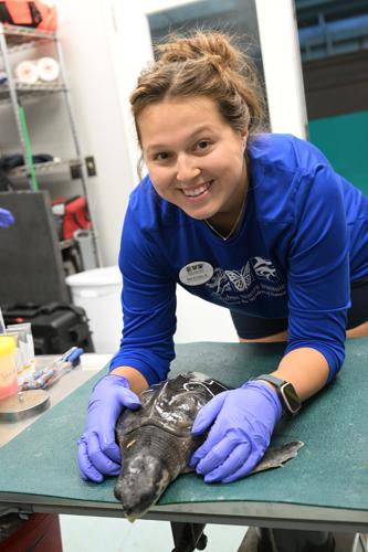 Audubon center offers life-saving care for endangered sea turtles ...