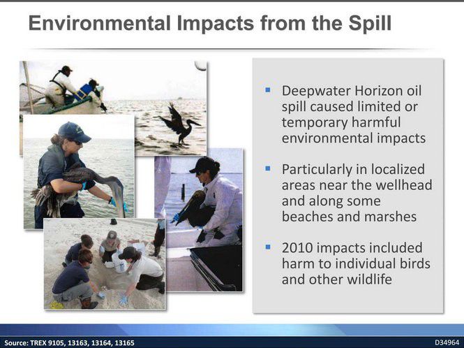 In BP oil spill, a tale of two Gulfs: How BP sees it | Environment ...