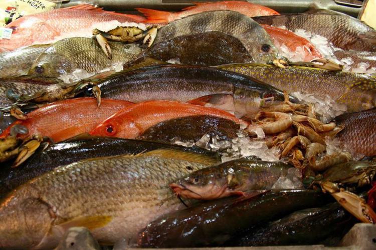 Wine on tap, bakeries rising, talking seafood, more from day at New