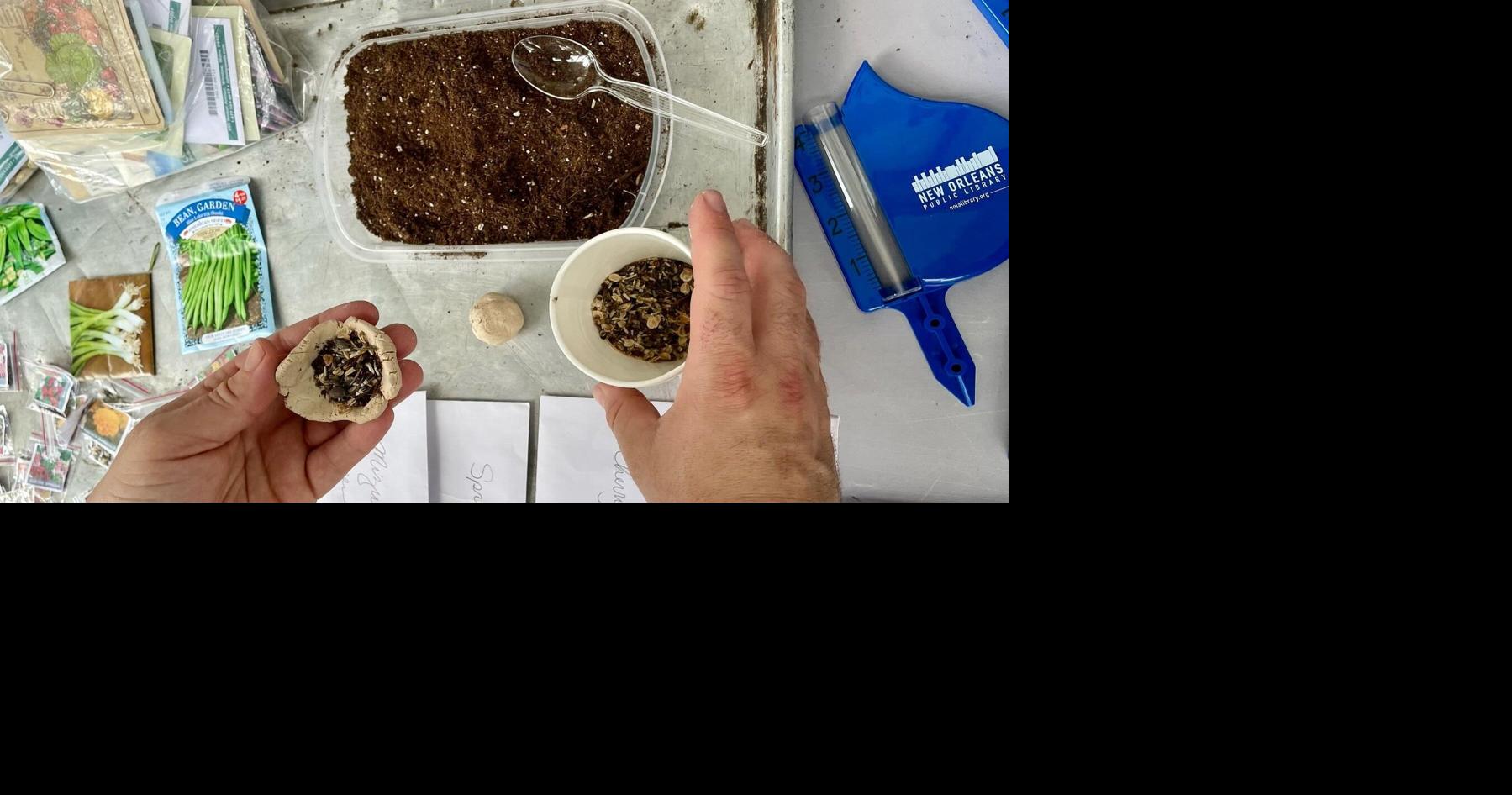 Earth Day celebration, robotics workshop and more at New Orleans Public Libraries