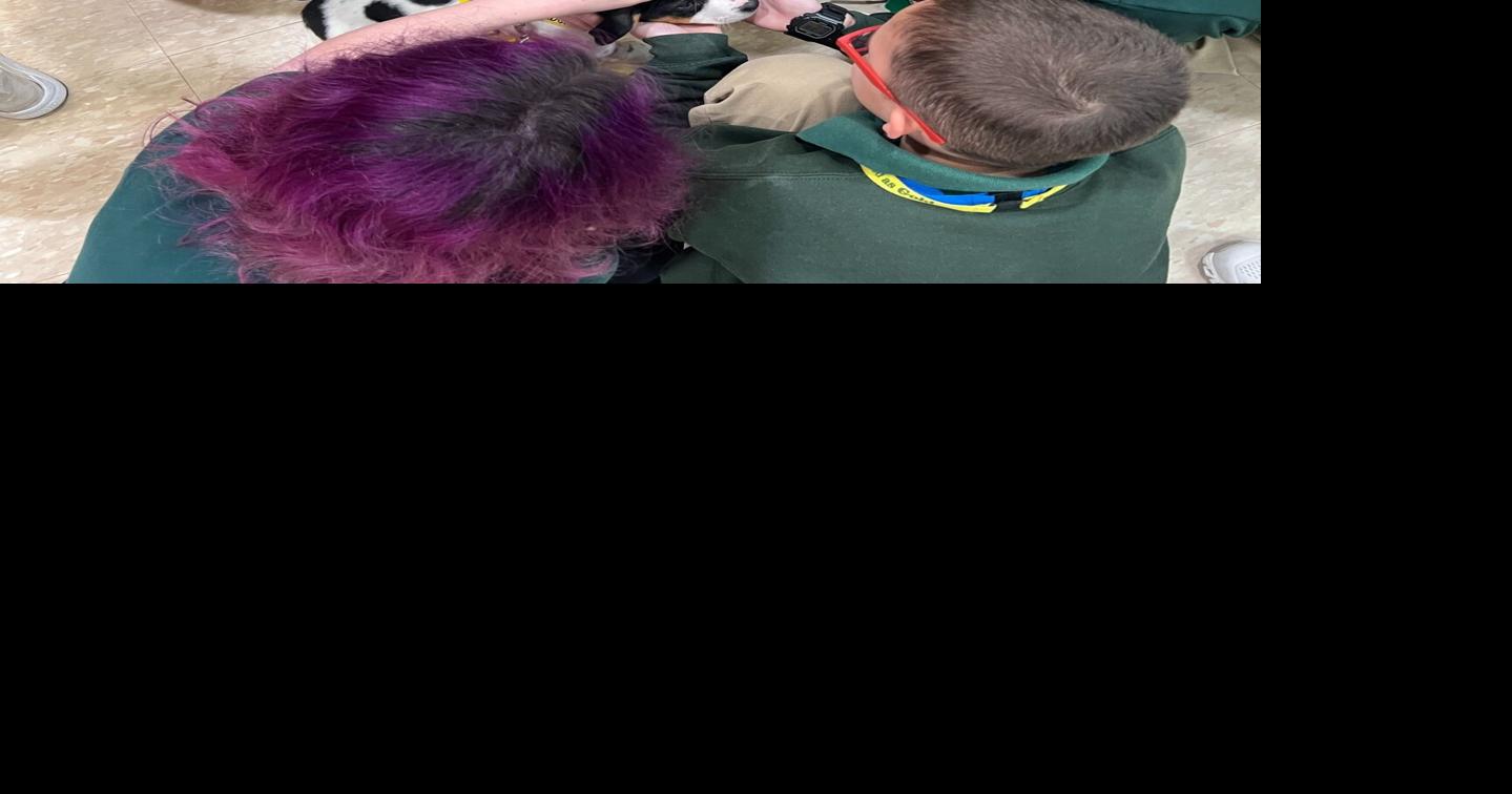 Summer camps bring children and animals together