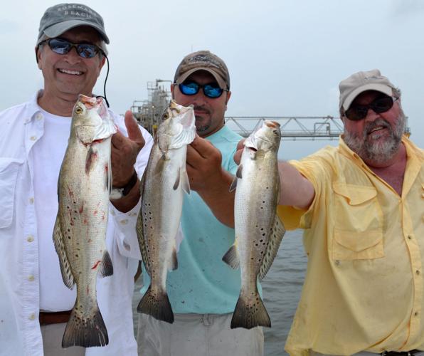Louisiana to explore altering recreational limits on speckled trout