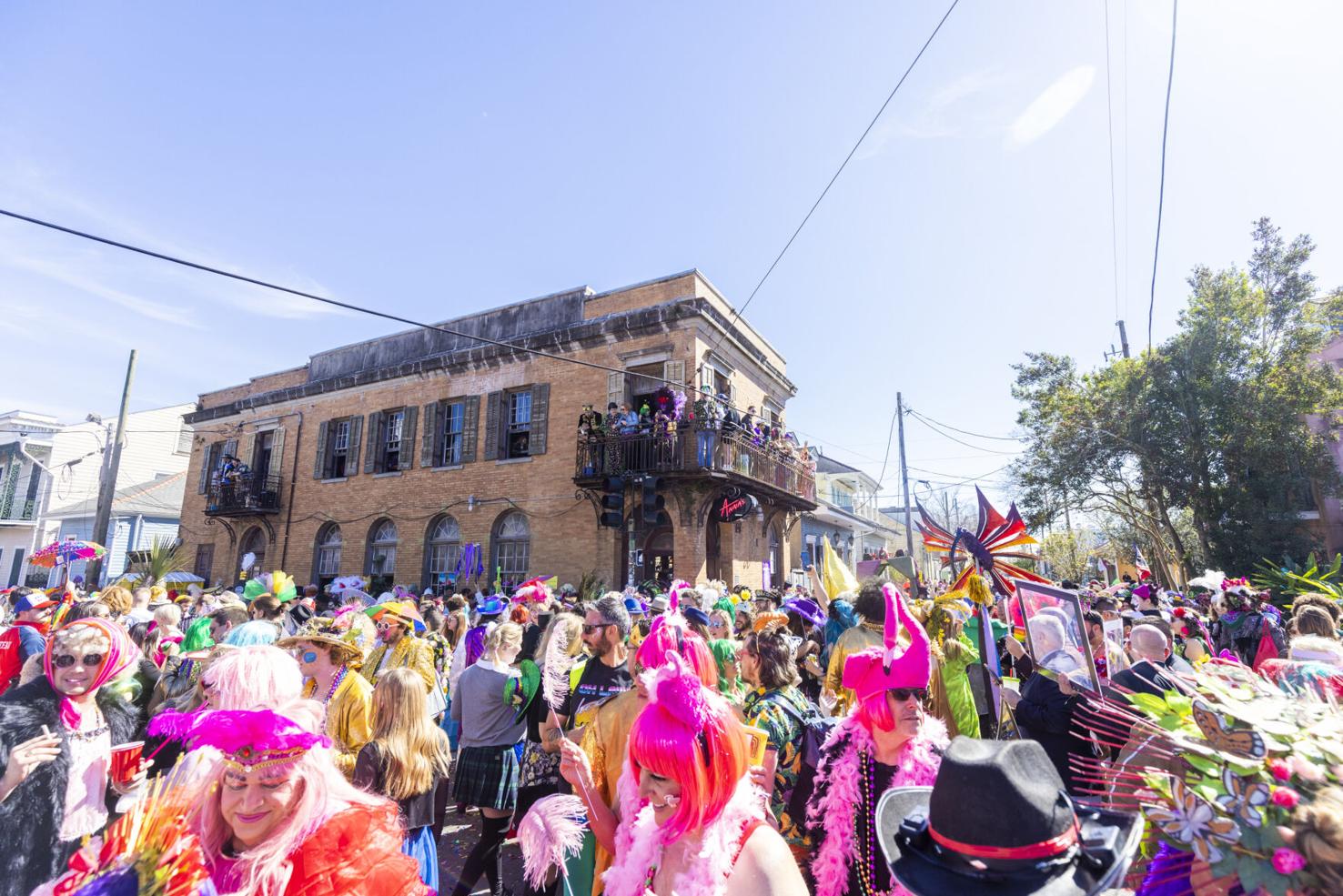 live mardi gras parade cam
