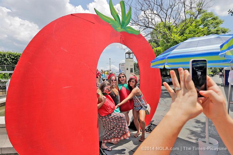 French Market Creole Tomato Festival photos Louisiana Festivals