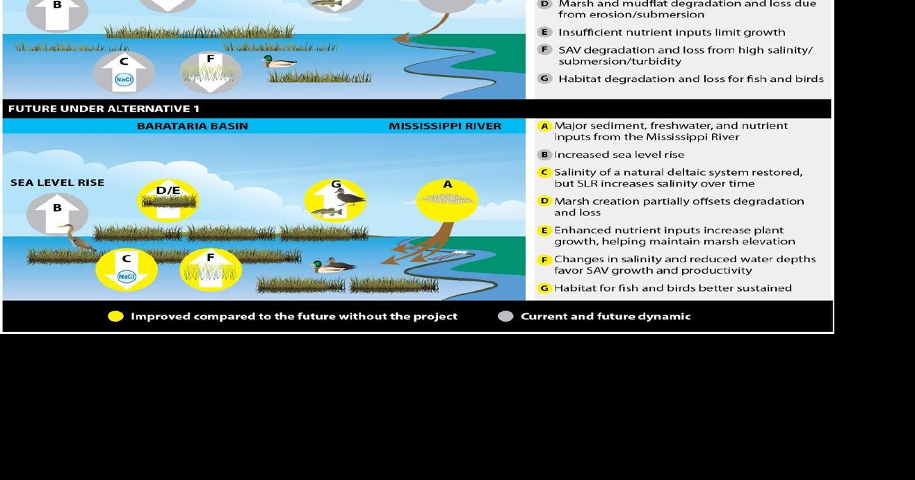 Trustees view of pros and cons