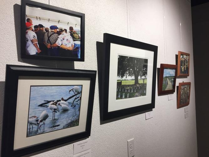 Artscape 'Local Visions' gives viewers a peek behind the lenses of