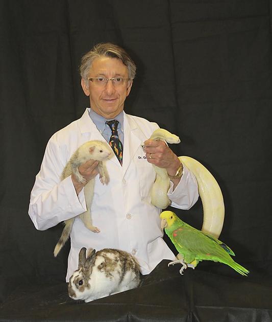 How To Care For Exotic Pets Pets Nola Com