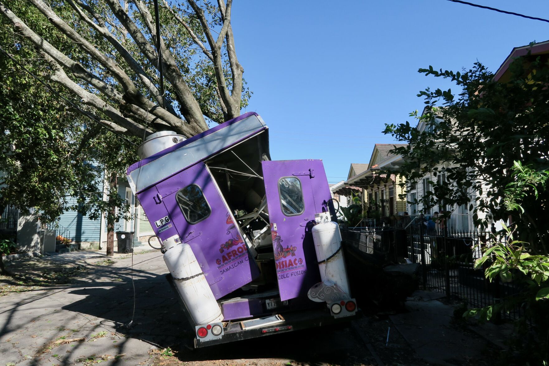 purple tree truck