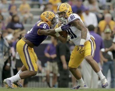 Thaddeus Moss Lsu >> Lsu S Thaddeus Moss Set To Induct Father Randy Into Pro Thaddeus Moss Lsu >> Lsu S Thaddeus Moss Set To Induct Father Randy Into Pro