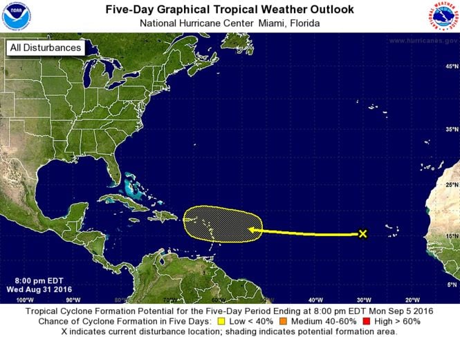 Tropical Storm Hermine Strengthens As It Approaches Florida Coast ...