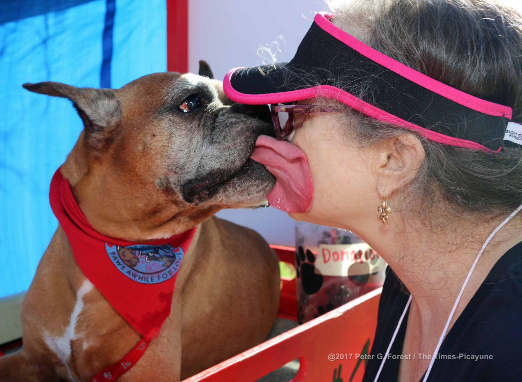 my dog suddenly has bad breath