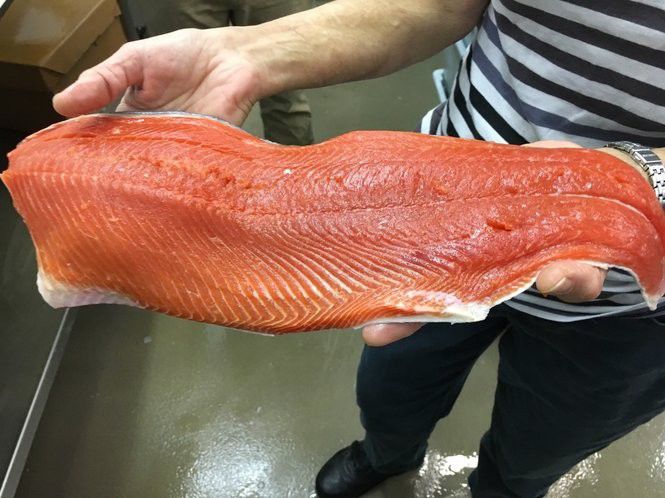 Why Alaskas Wild Salmon Season Matters In New Orleans Where Nola 8164