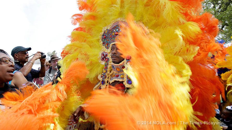 mardi gras indian council photos