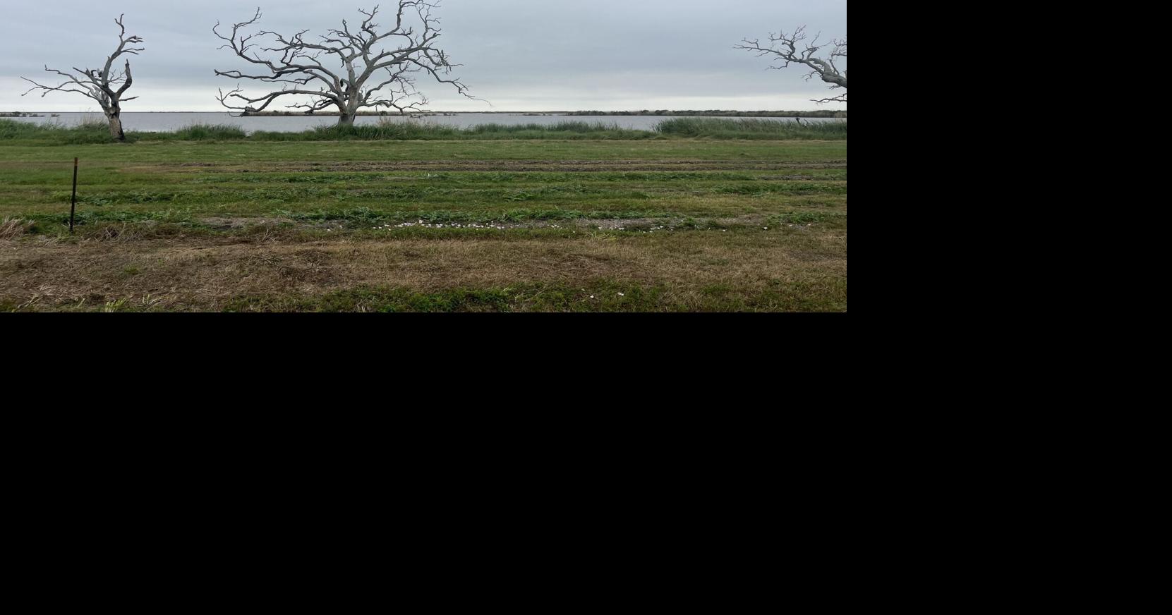 Why would Elon Musk want to launch SpaceX rockets in Louisiana? The answer lies on its coast.